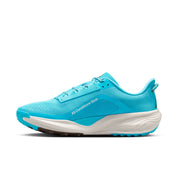 Men’s ACG Pegasus Trail (400 - Baltic Blue/Summit White-Lt Orewood Brn)