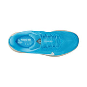 Men’s ACG Pegasus Trail (400 - Baltic Blue/Summit White-Lt Orewood Brn)