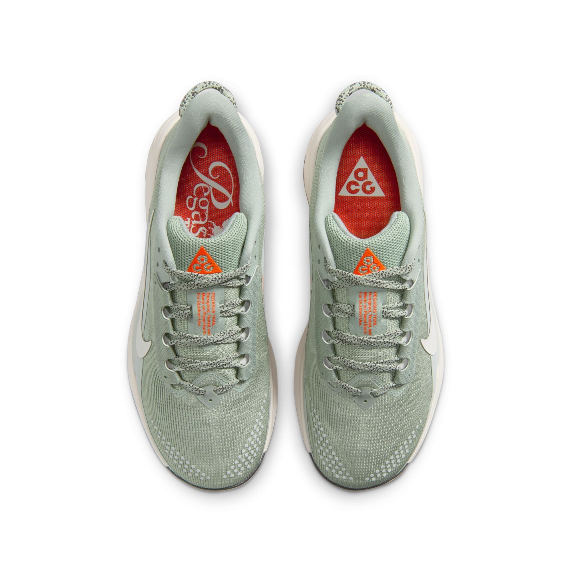 Women’s ACG Pegasus Trail (310 - Jade Horizon/Phantom-Light Silver)