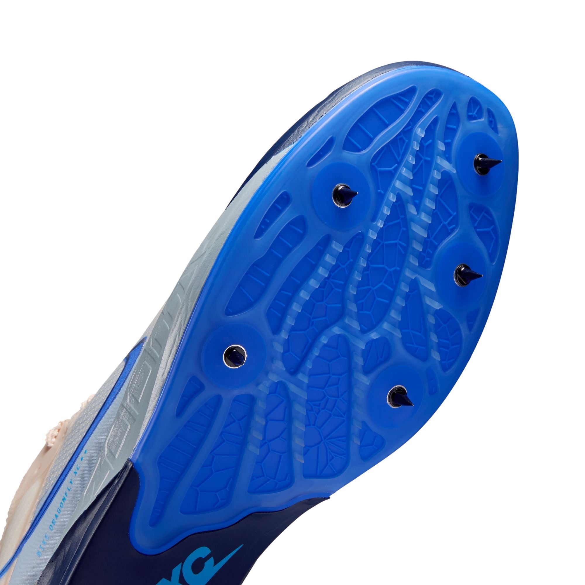 Unisex Dragonfly XC 2 (100 - Chalk/Racer Blue-Blue Void)