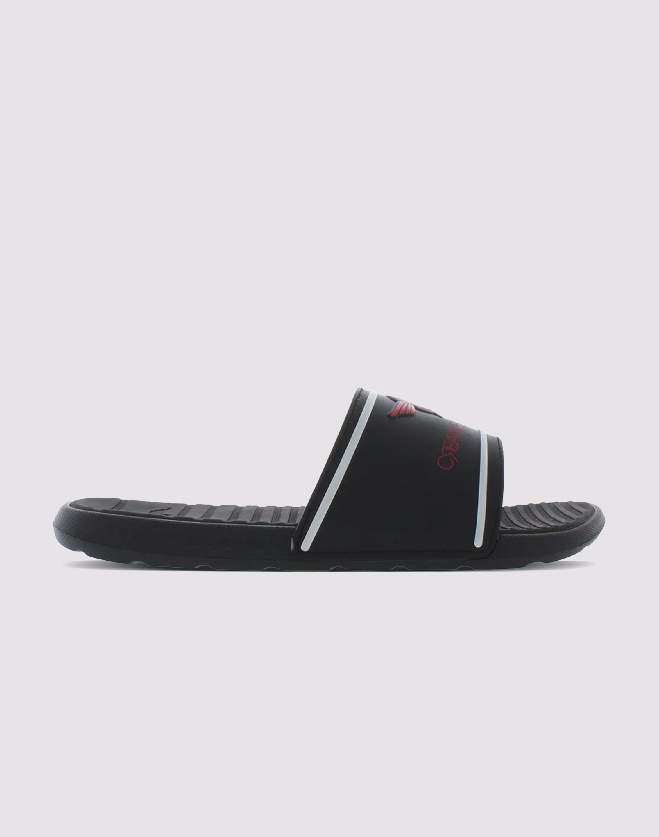 Creative Recreation Felisio Slides