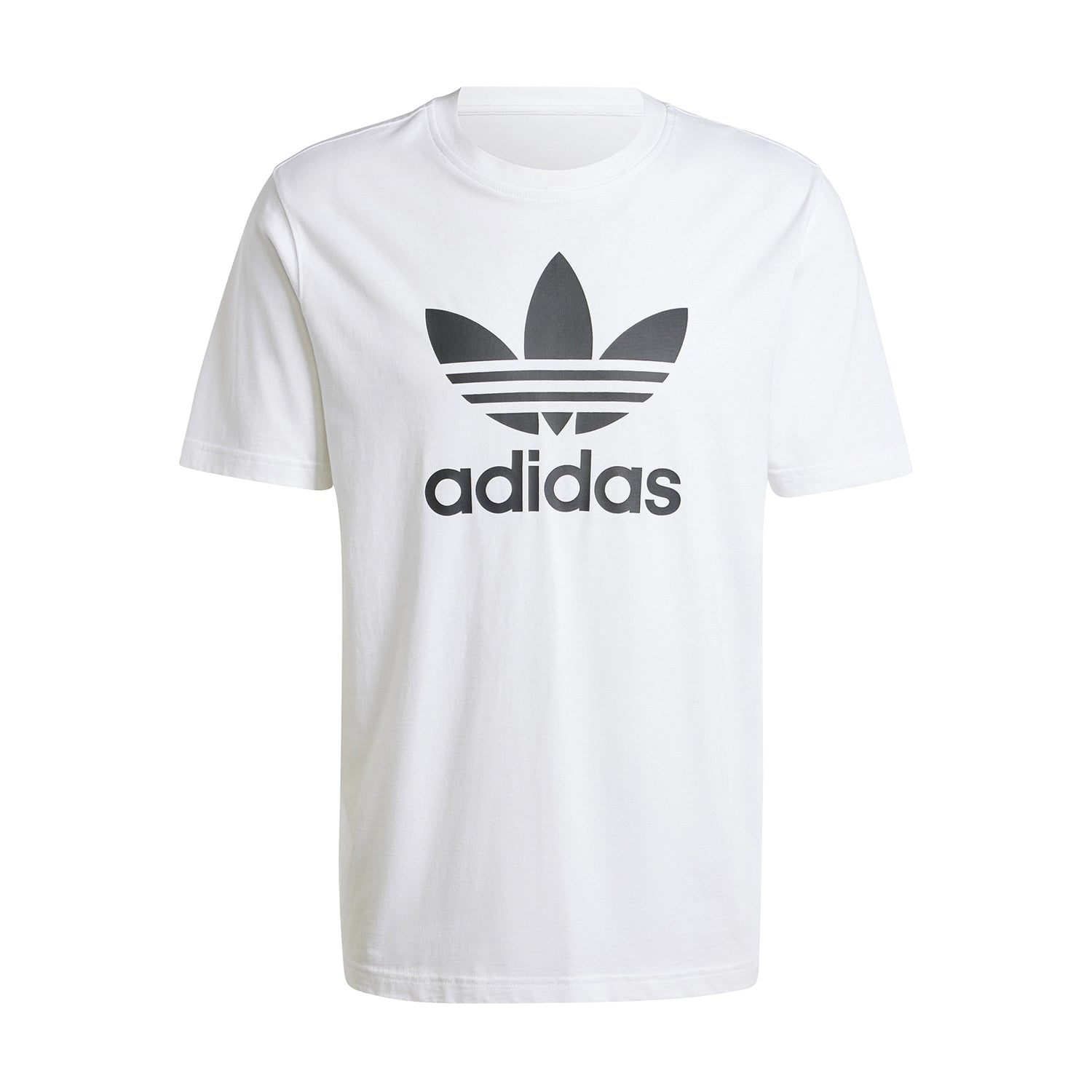IV5353_1.jpg