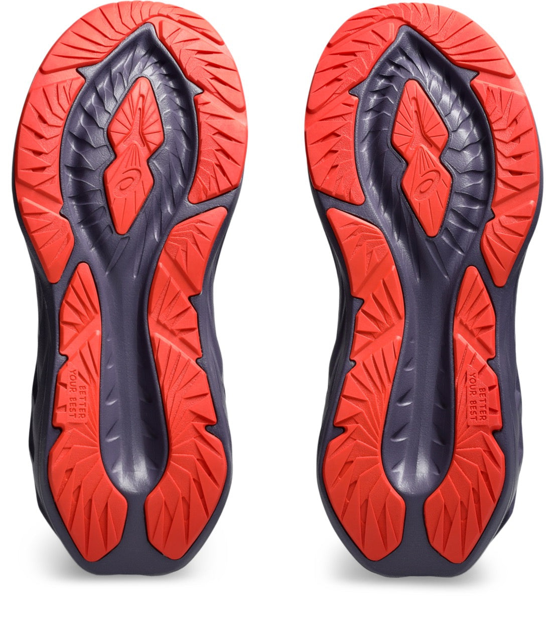 Big Kids Novablast 5 (500 - Greyish Purple/Coral Reef