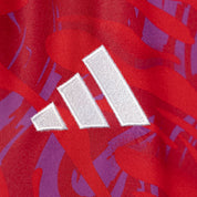 26/27 Costa Rica Replica Home Jersey - Mens
