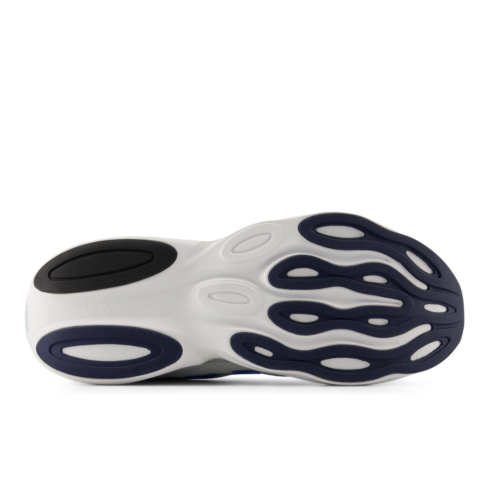 Men's Ellipse v1 (31F - White/Blue Bird)