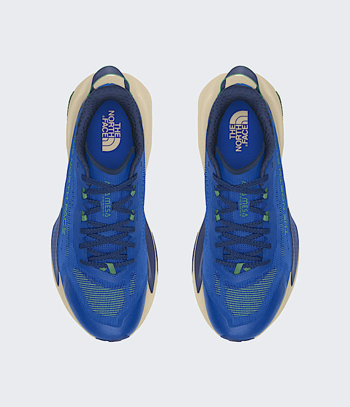 Men's Altamesa 500 V2 (QH9 - TNF Blue/Dimmed Algae)