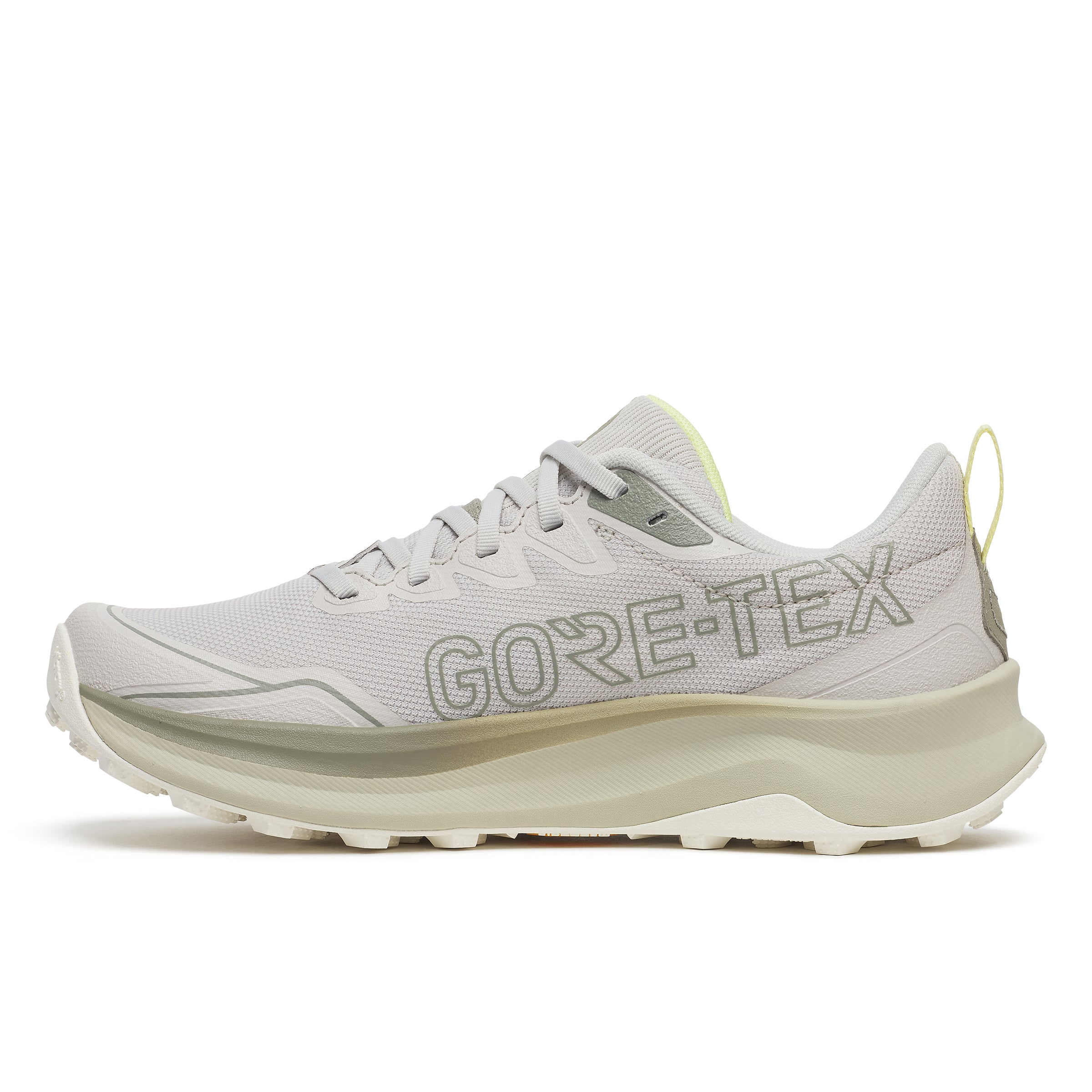 Women's Peregrine 16 GTX (200 - Arctic/Tender)