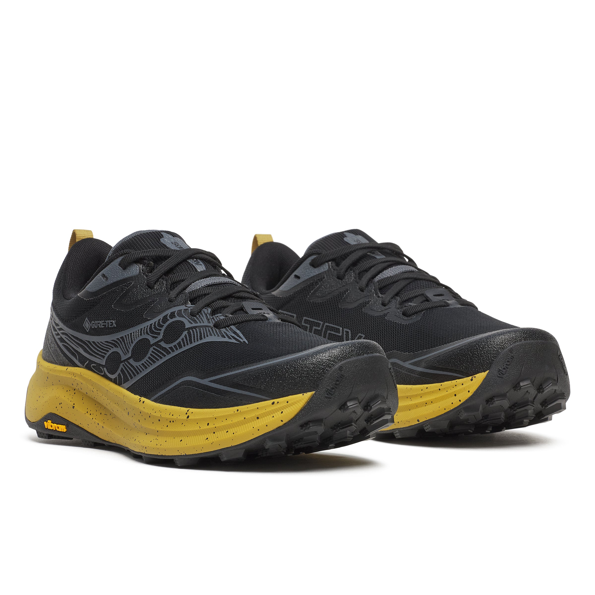 Men's Peregrine 16 GTX (100 - Black/Oil)
