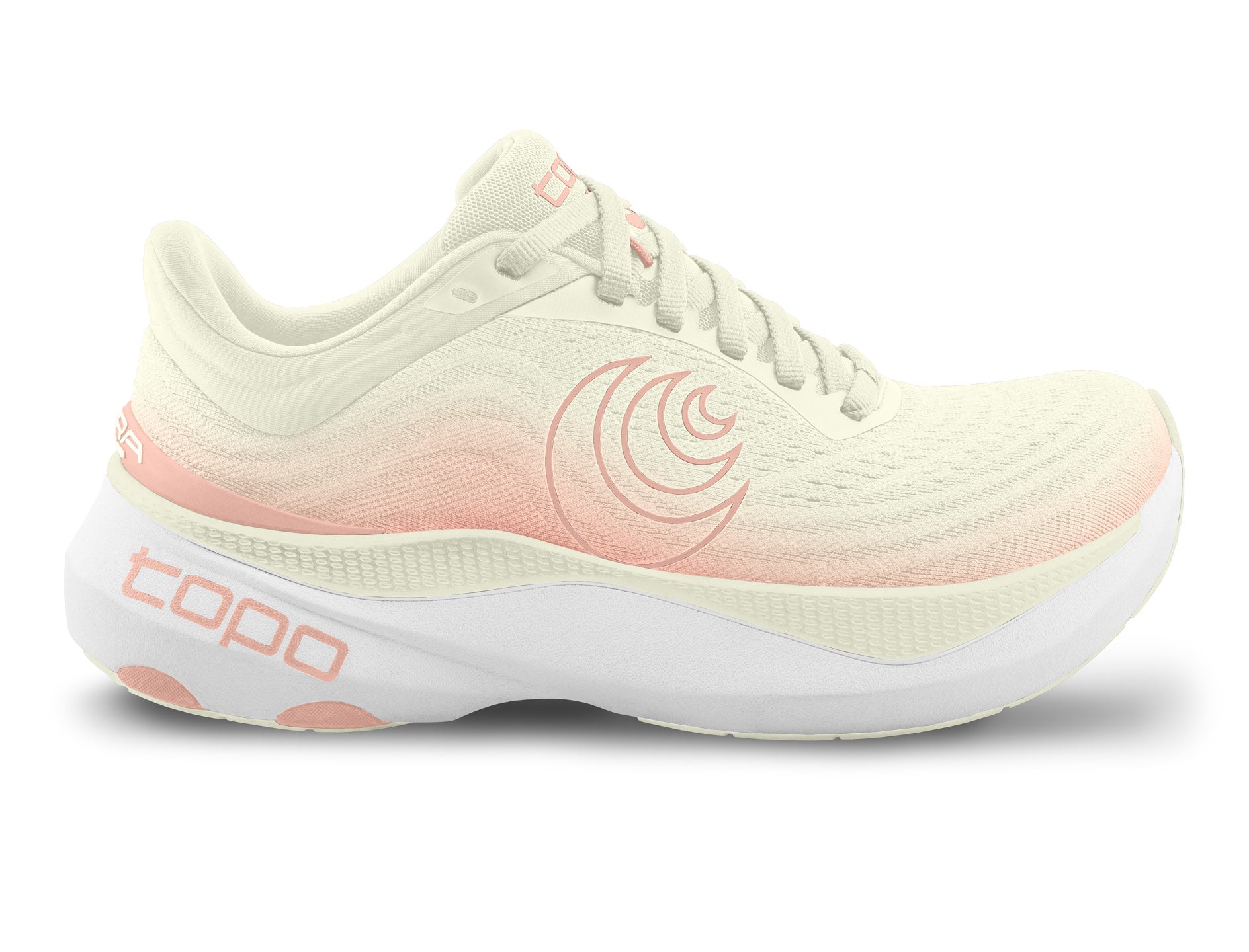 W080.Cream-Rose_00.jpg