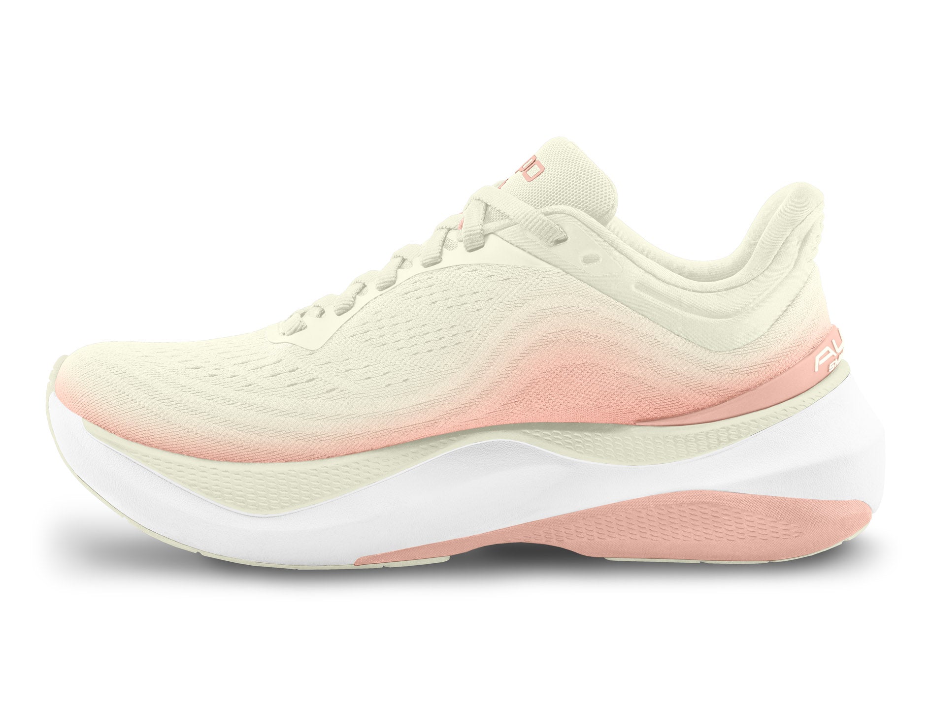 W080.Cream-Rose_05.jpg