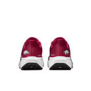 Arkansas Pegasus 41  Men's College Road Running Shoes