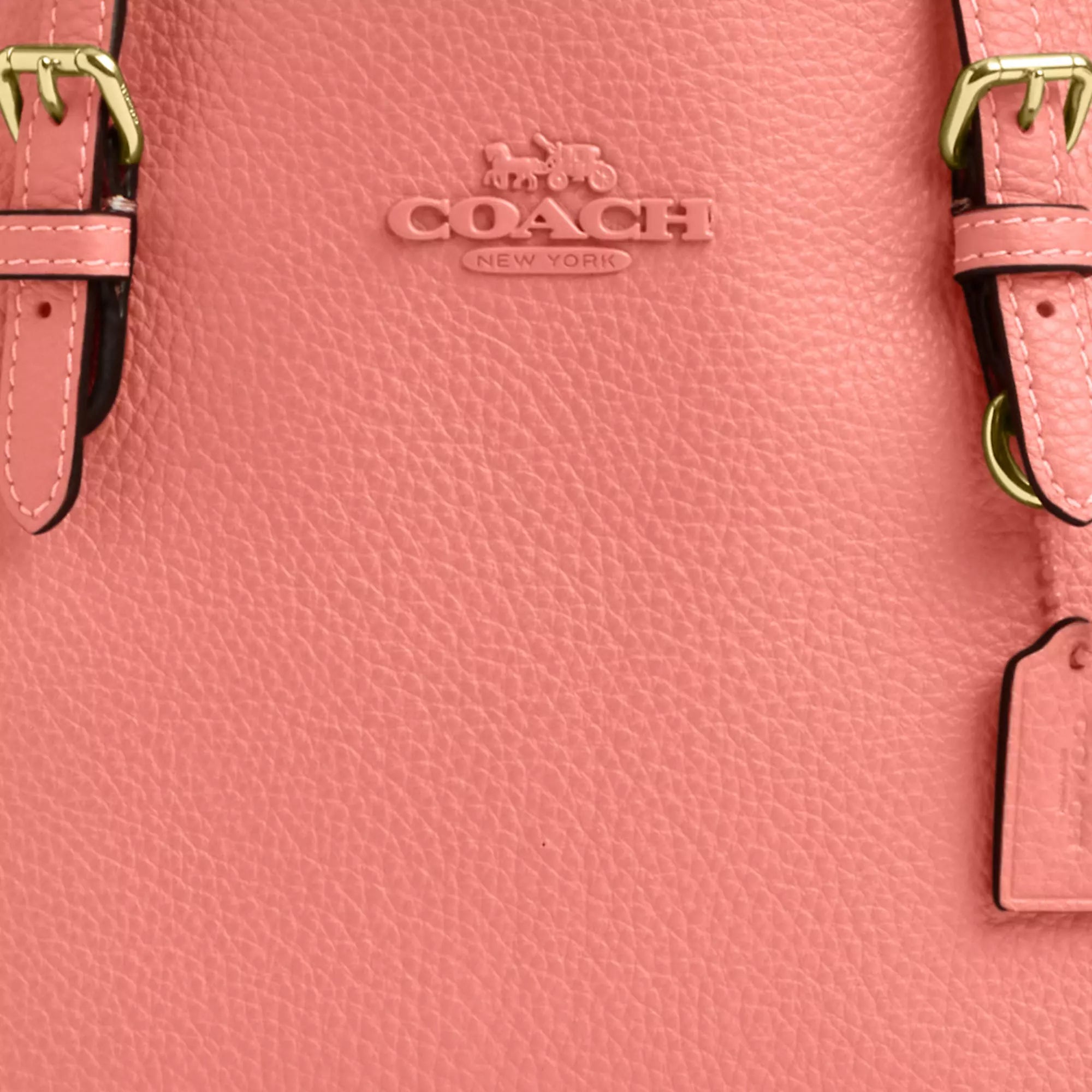 Coach Outlet Mollie Tote Bag 25