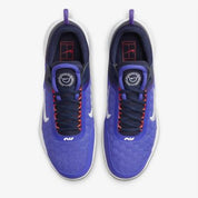Men's Zoom Court Shoes In Lapis/white