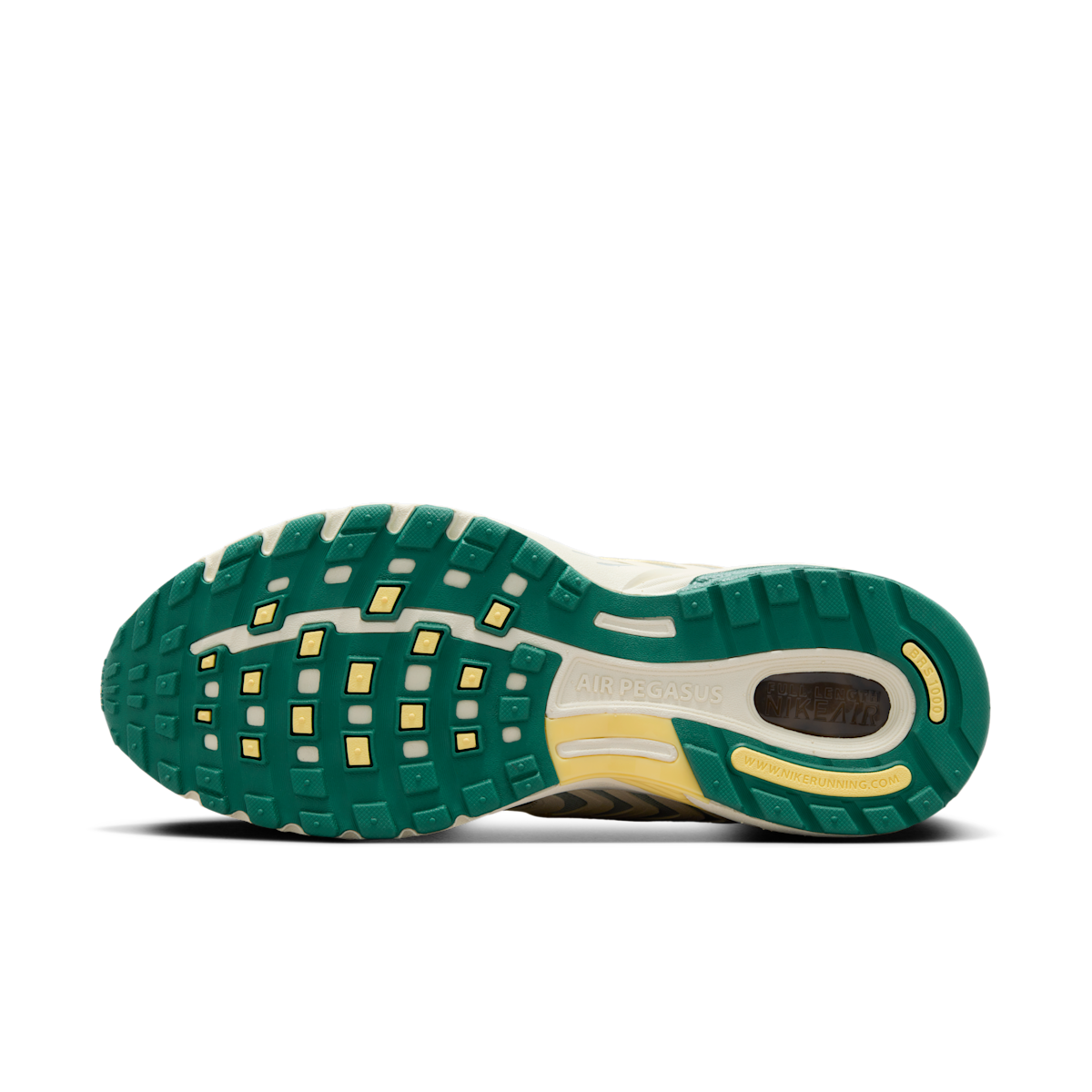 Men's Air Pegasus 2005 Shoes