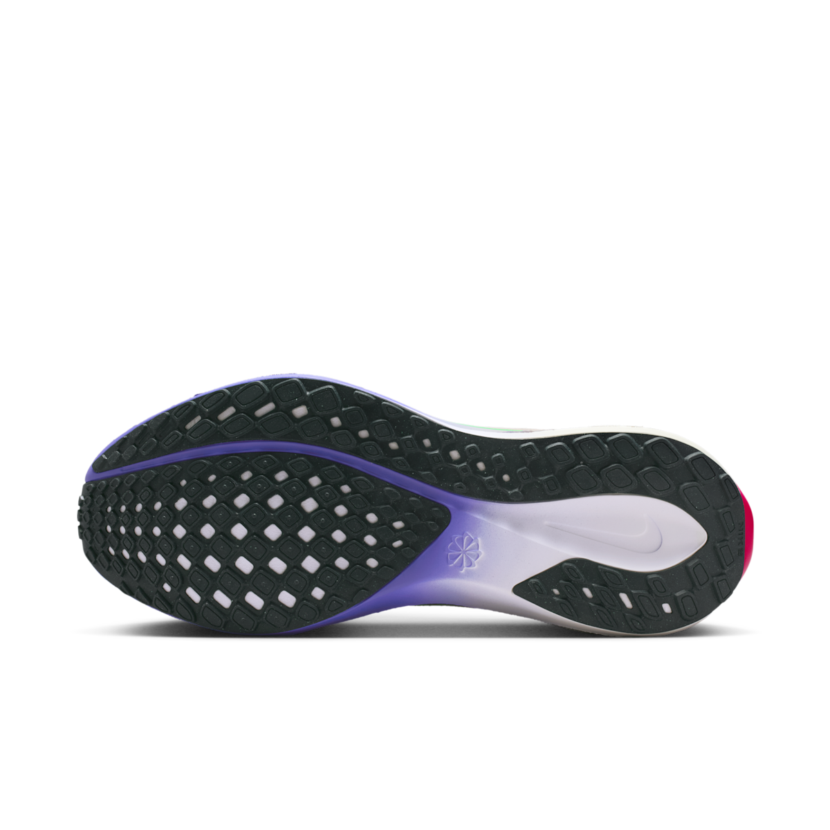 Women's Pegasus 41 "Eliud Kipchoge" Road Running Shoes