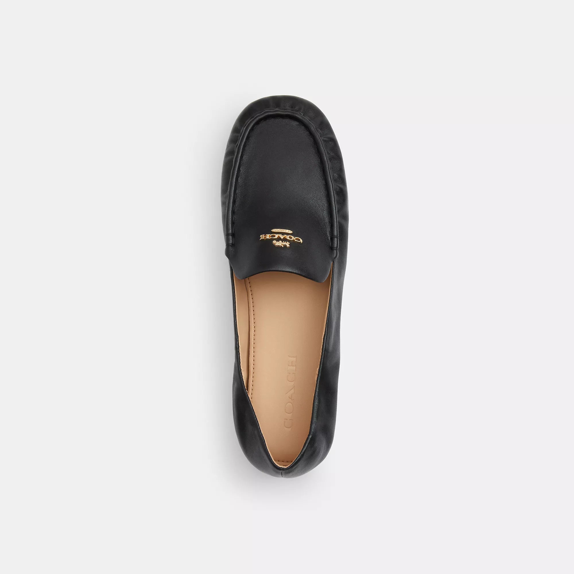 Coach Outlet Phoebe Soft Loafer