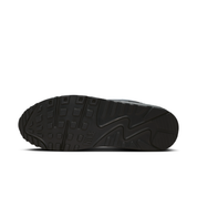 Men's Air Max 90 Drift Shoes