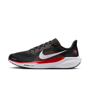 Tampa Bay Buccaneers Pegasus 41  Men's NFL Road Running Shoes