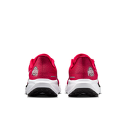 Ohio State Pegasus 41  Men's College Road Running Shoes