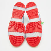 Nike Sb Dunk Sandy Bodecker