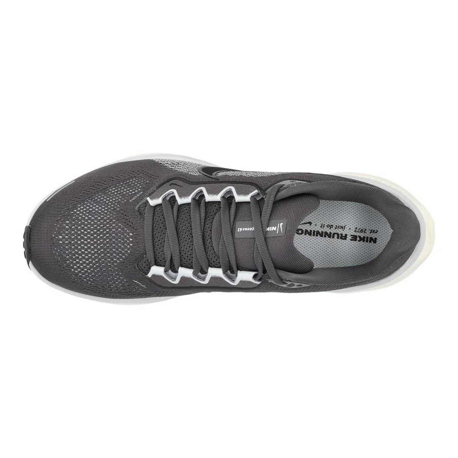 Women’S Air Zoom Pegasus 41 Shoe In Pure Platinum/black