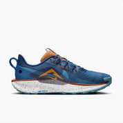 Men's Pegasus Trail 5 Shoes In Blue Void