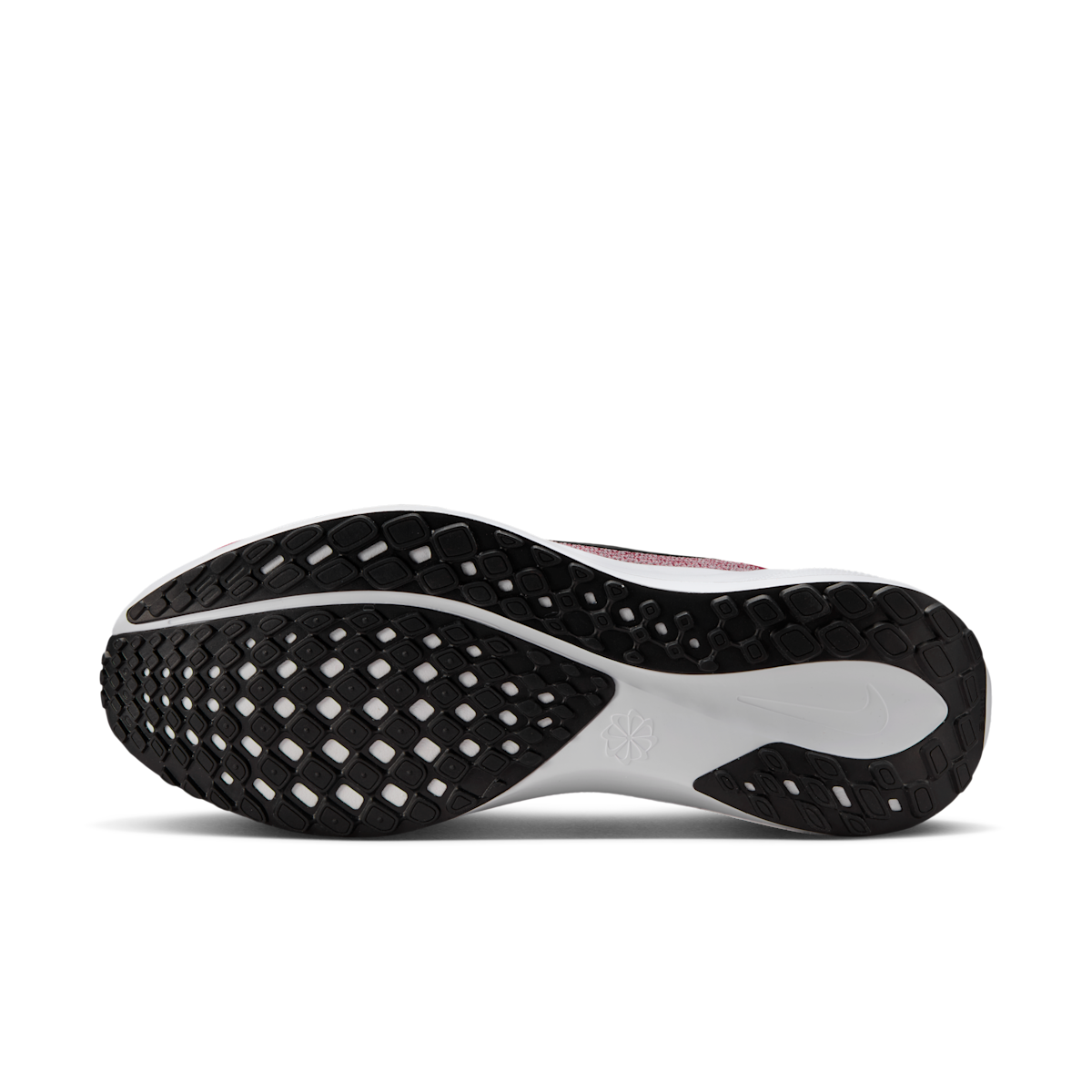 Arkansas Pegasus 41  Men's College Road Running Shoes