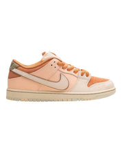 Men's Sb Dunk Low Pro Trocadero Gardens Sneaker In Amber Brown/guava Ice