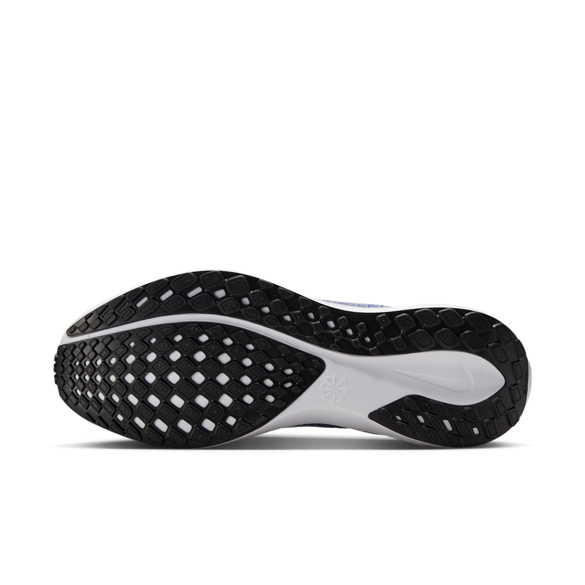 Kentucky Pegasus 41  Men's College Road Running Shoes