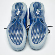 Nike Air Foamposite One International Blue