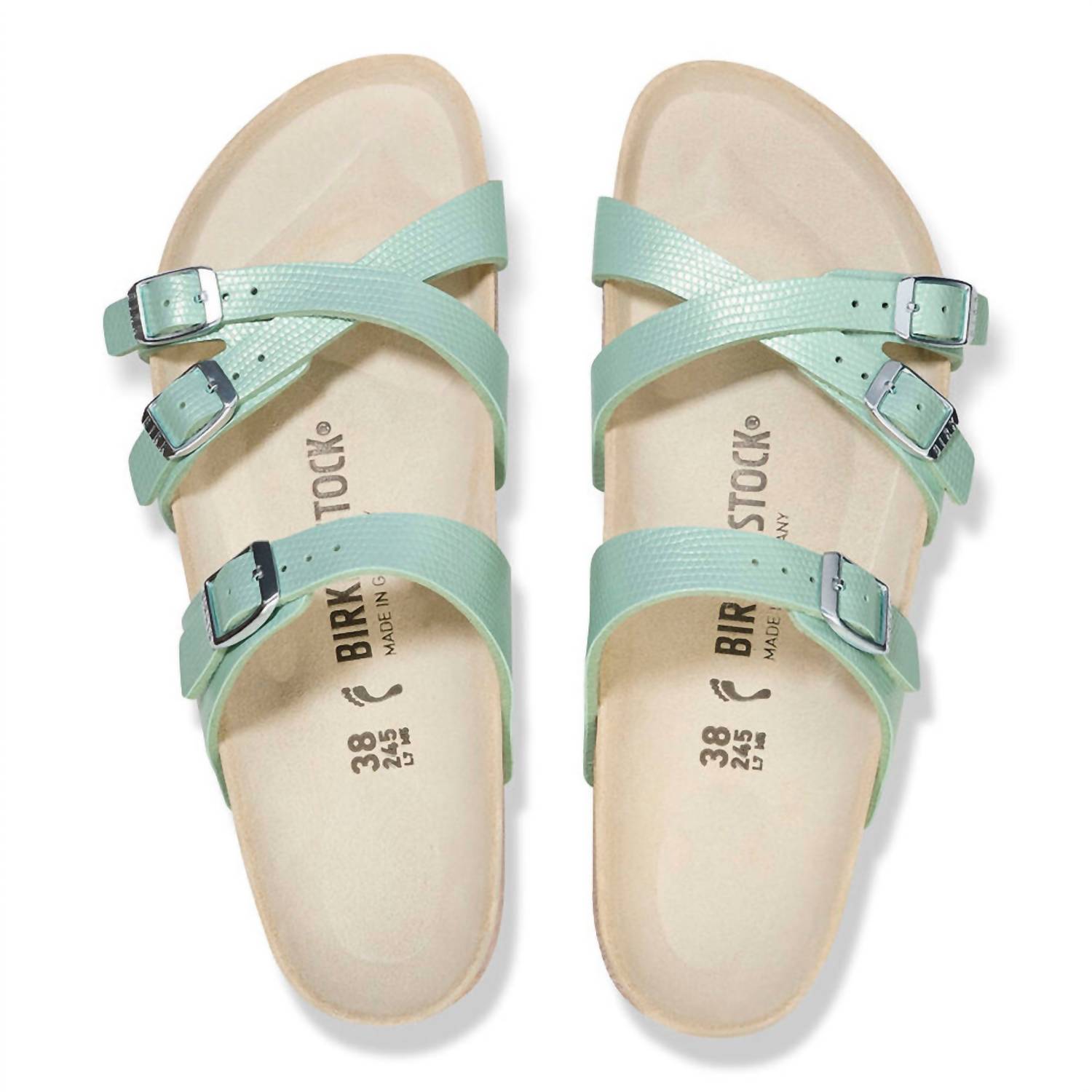 Women's Franca Sandal In Lizard Surf Green