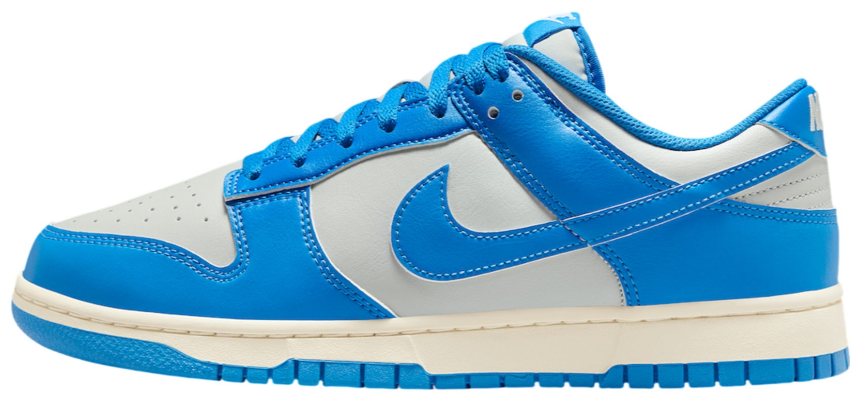 Nike Dunk Low Detroit Lions