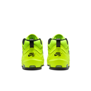 Men's Air Max Ishod Premium Skate Shoes