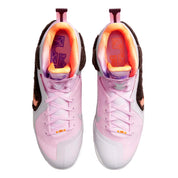 Nike LeBron IX Regal Pink / Multi - Color  DJ3908-600 Men's
