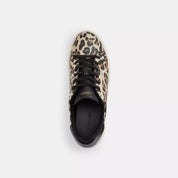Coach Outlet High Line Sneaker With Leopard Print