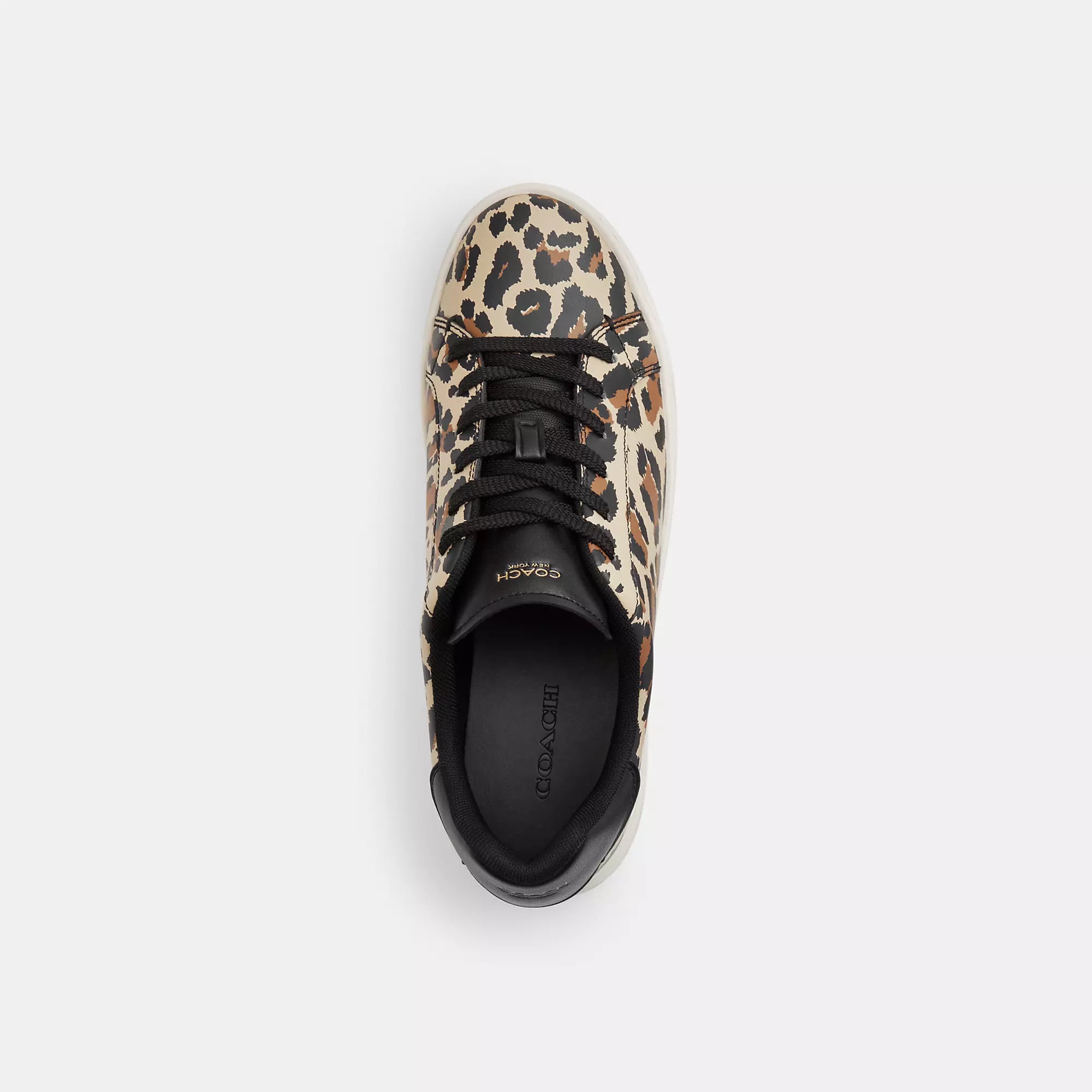 Coach Outlet High Line Sneaker With Leopard Print