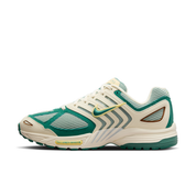 Men's Air Pegasus 2005 Shoes