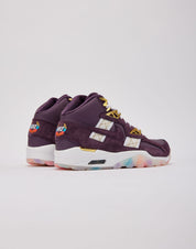 Nike Air Trainer SC SP 'Pro Purple'